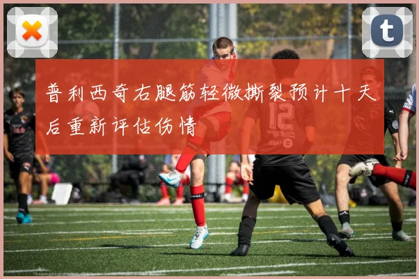 普利西奇右腿筋轻微撕裂预计十天后重新评估伤情