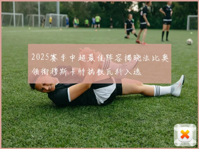 2025赛季中超最佳阵容揭晓法比奥领衔穆斯卡特执教瓦科入选