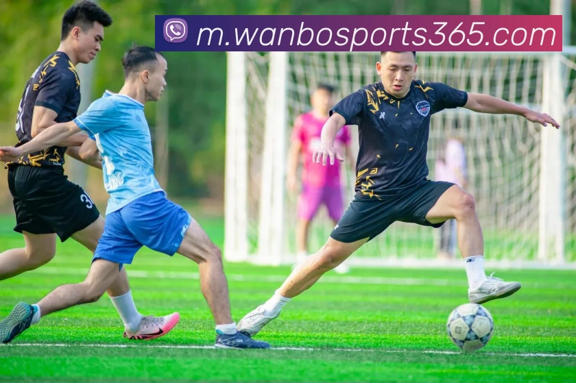 万博体育APP 封面图